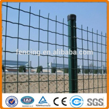 Revestimento de PVC Euro Fence Roll / Painel (Fábrica)